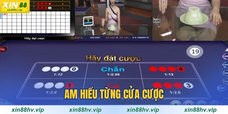 am-hieu-tung-cua-cuoc