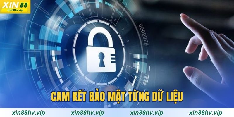 cam-ket-bao-mat-tung-du-lieu