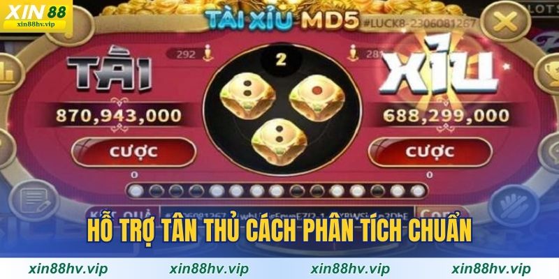 ho-tro-tan-thu-cach-phan-tich-chuan