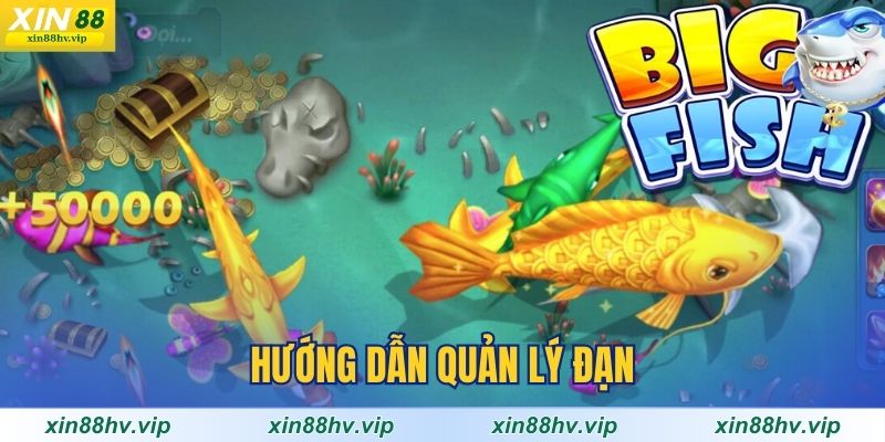 huong-dan-quan-ly-dan-voi-ban-ca-h5