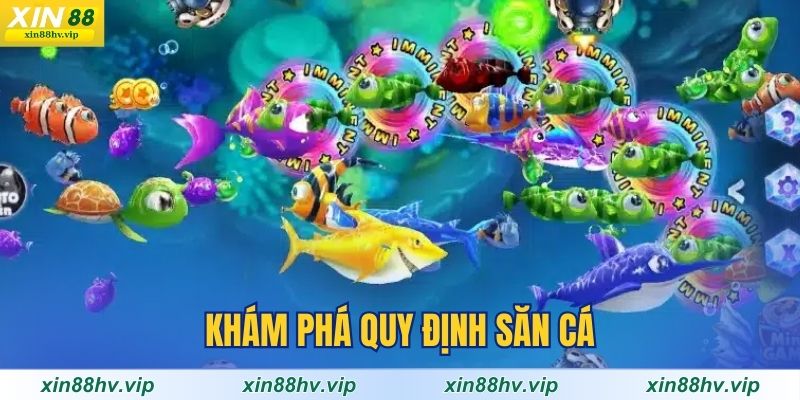 kham-pha-quy-dinh-san-ca