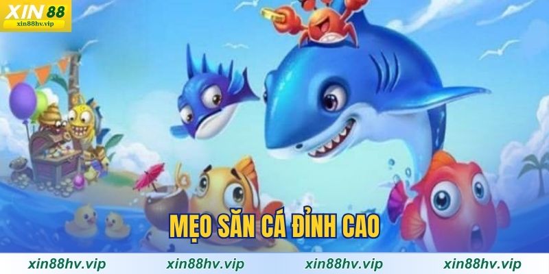 meo-san-ca-dinh-cao
