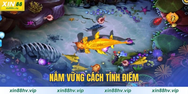 nam-vung-cach-tinh-diem-trong-ban-ca-doi-thuong