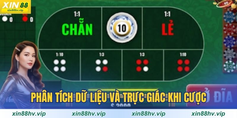 phan-tich-du-lieu-va-truc-giac-khi-cuoc