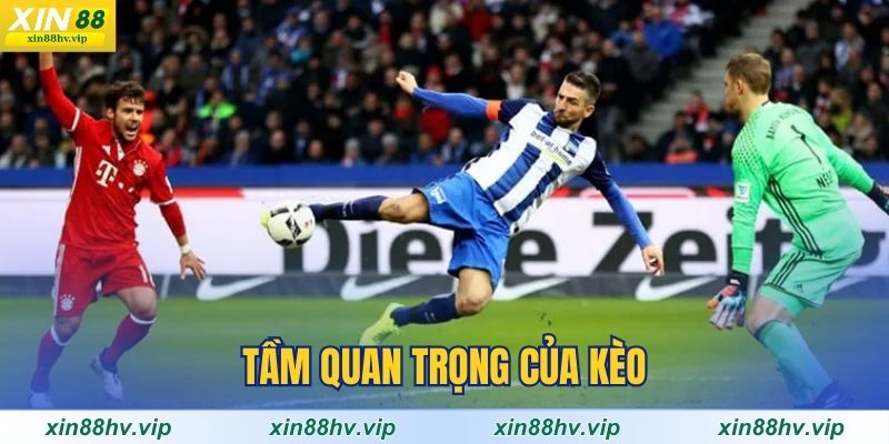 tam-quan-trong-cua-keo