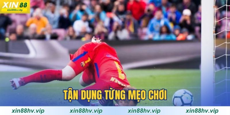 tan-dung-tung-meo-choi