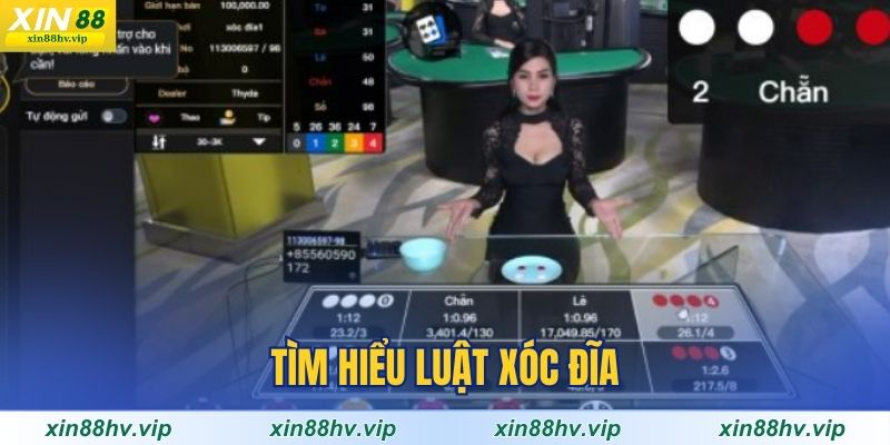 tim-hieu-luat-xoc-dia