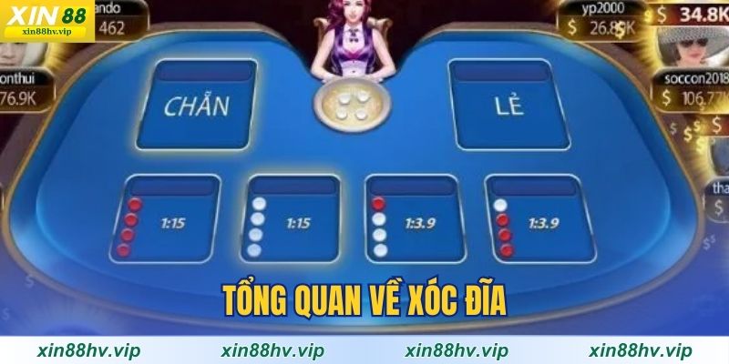 tong-quan-ve-xoc-dia